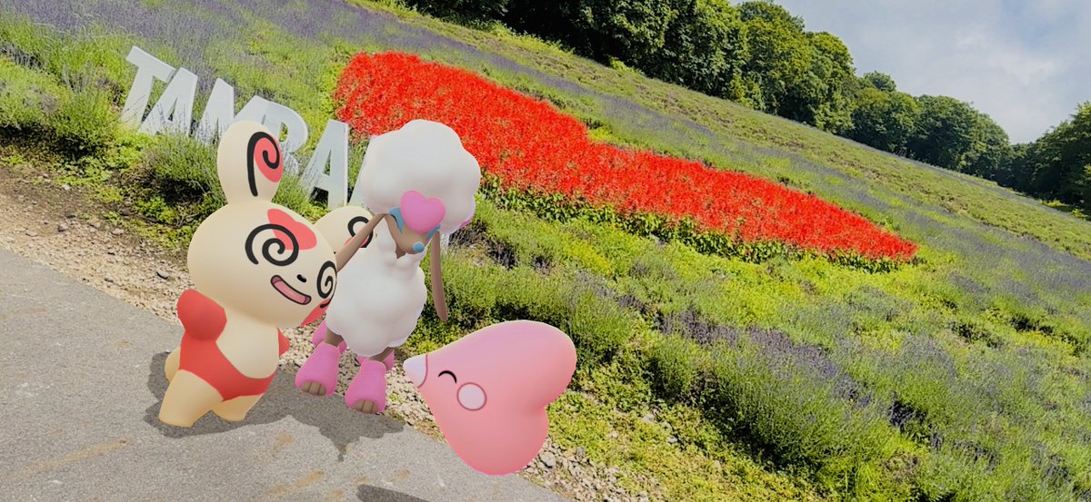 GameUmuya's tweet image. たんばらラベンダーパークで🪻

#さやちゃんのARオフ会
#GOsnapshot
#ARofTheDay