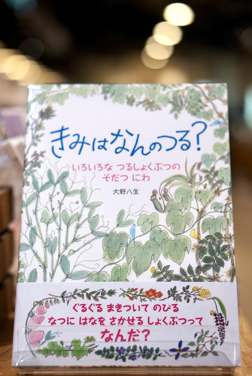 PW_tachikawa's tweet image. 『#きみはなんのつる?』 #大野八生 #福音館書店
大野さんの素敵な絵でつる植物の特徴を優しく紹介。庭や公園にあるつる植物をよく観察してみたくなります。PWでは大野八生さんの絵本をご紹介中です。ぜひお手に取ってくださいませ。
#エキュート立川
#一日一冊のえほん
