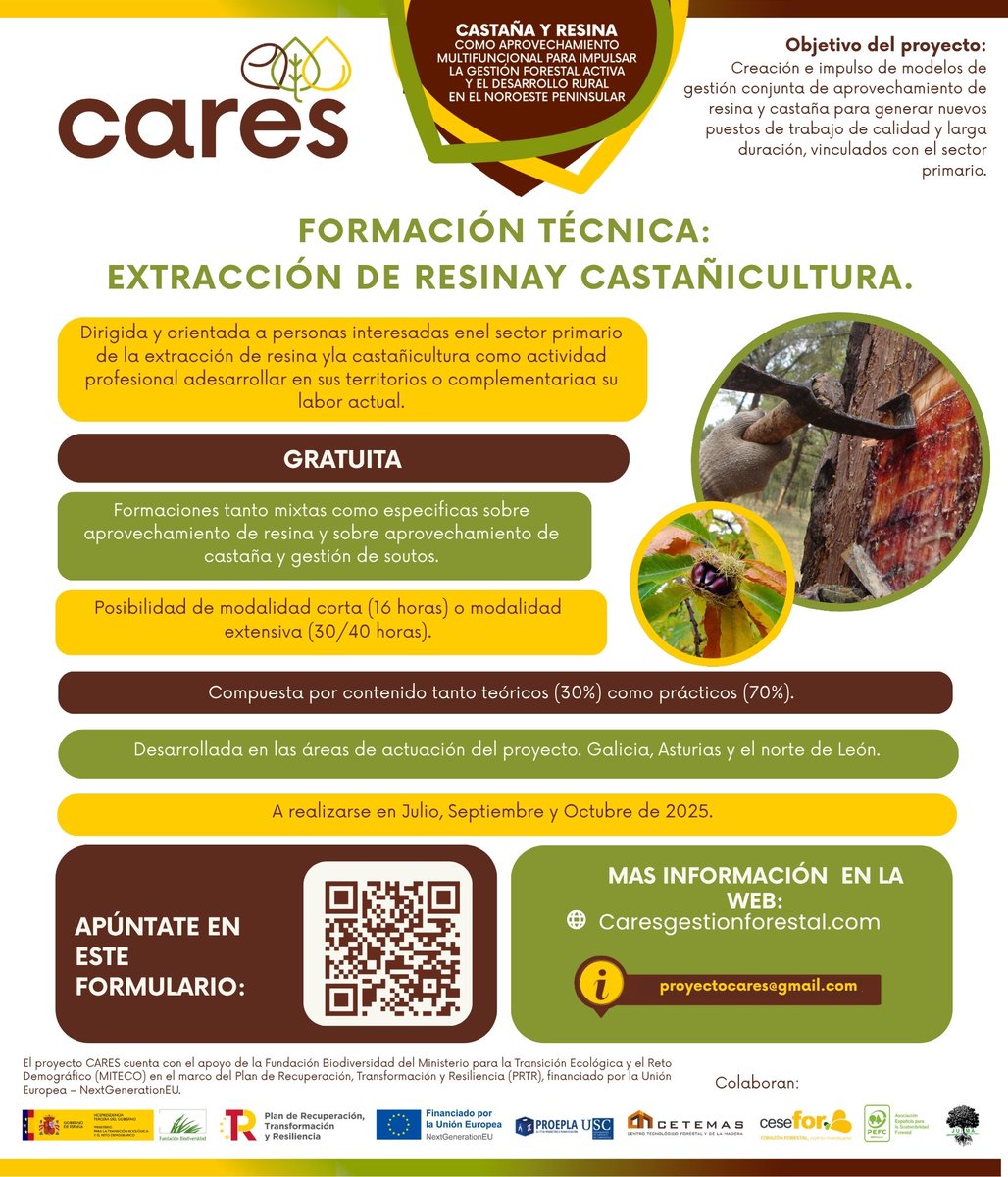 🔎 ¿Quieres aprender sobre #resina y #castaña? ¿Te gustaría iniciarte o formarte en estos sectores?

🌲🌰 Aprovecha las formaciones gratuitas del Proyecto #Cares, organizadas por la <a href="/FCesefor/">Fundación Cesefor</a>
y la Cooperativa Pinaster. Están dirigidas a personas con ganas de profundizar en estos