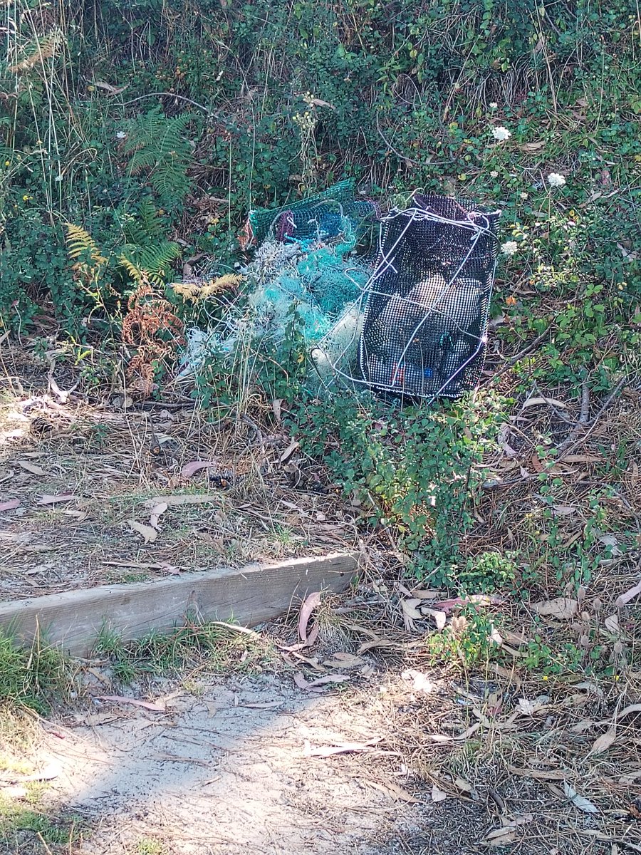 La basura se acumula en la playa de Barreira