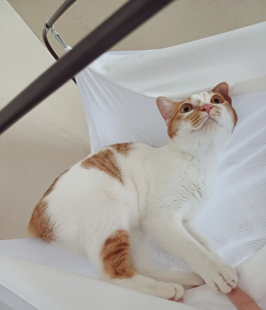 한번씩 손을 잡아준다
말랑하고 행복하다