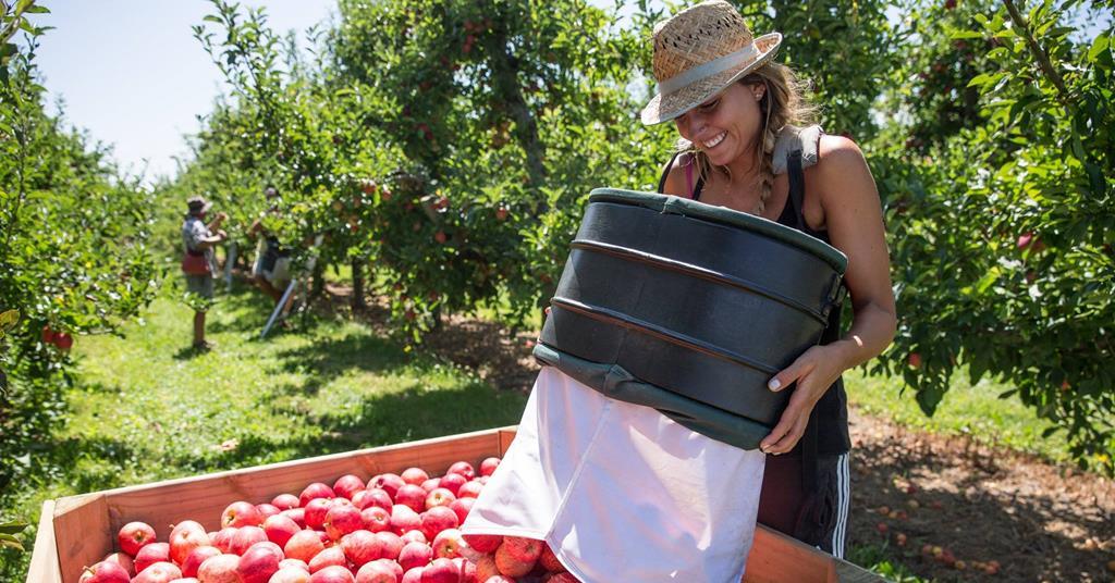 T&amp;G Global confirms sale process amid takeover interest ow.ly/hRz4106fPTL