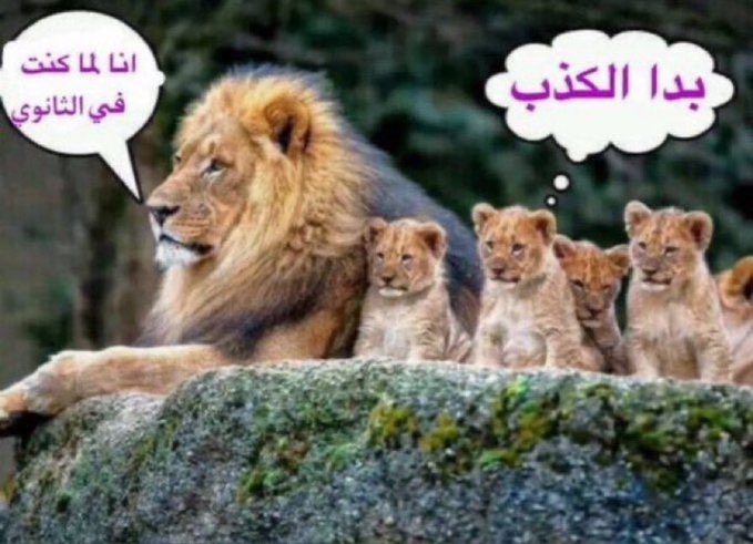 اول مايجي القبول