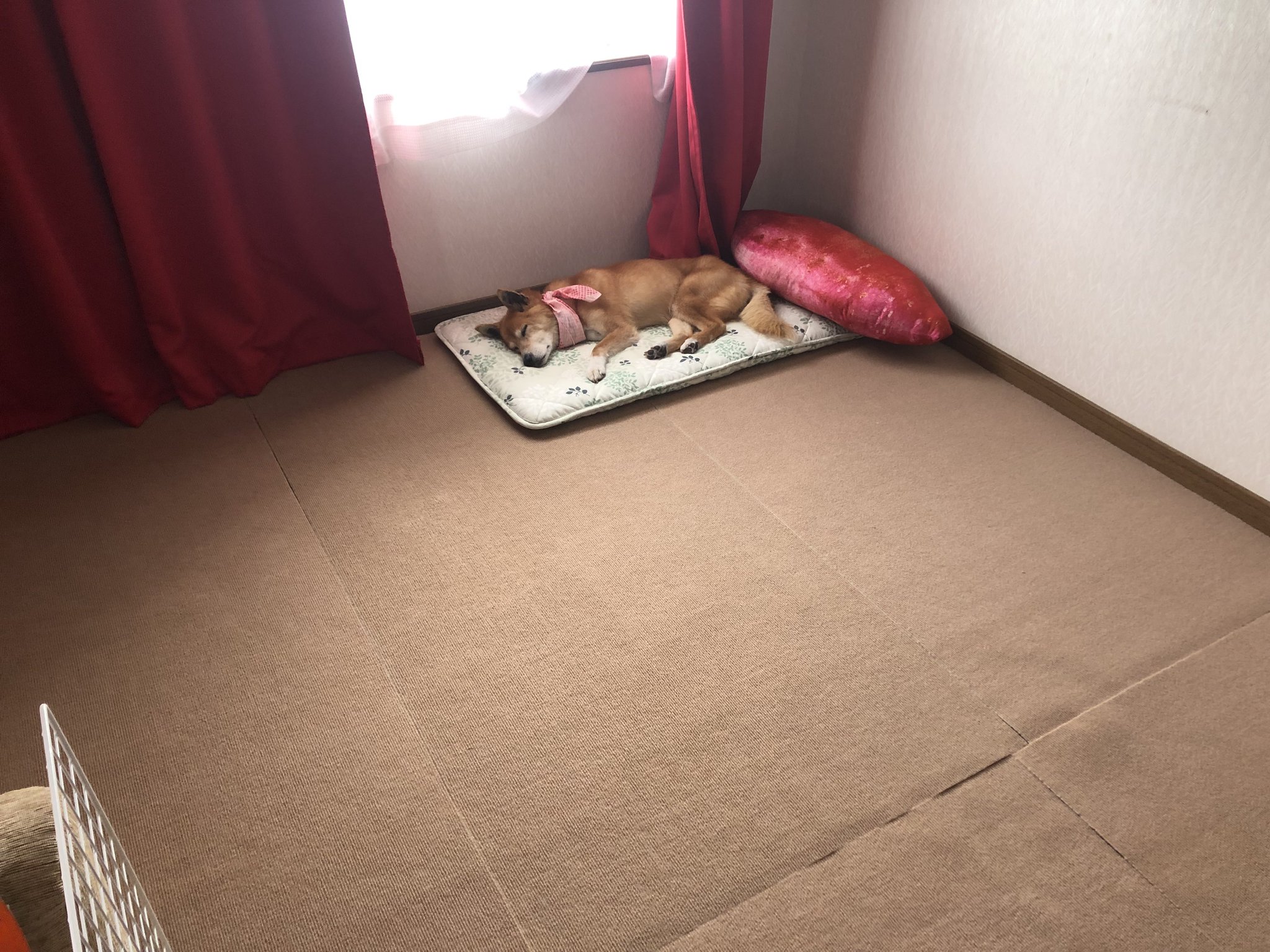 おまとめのお部屋 はむ🐹ྀི on X: 