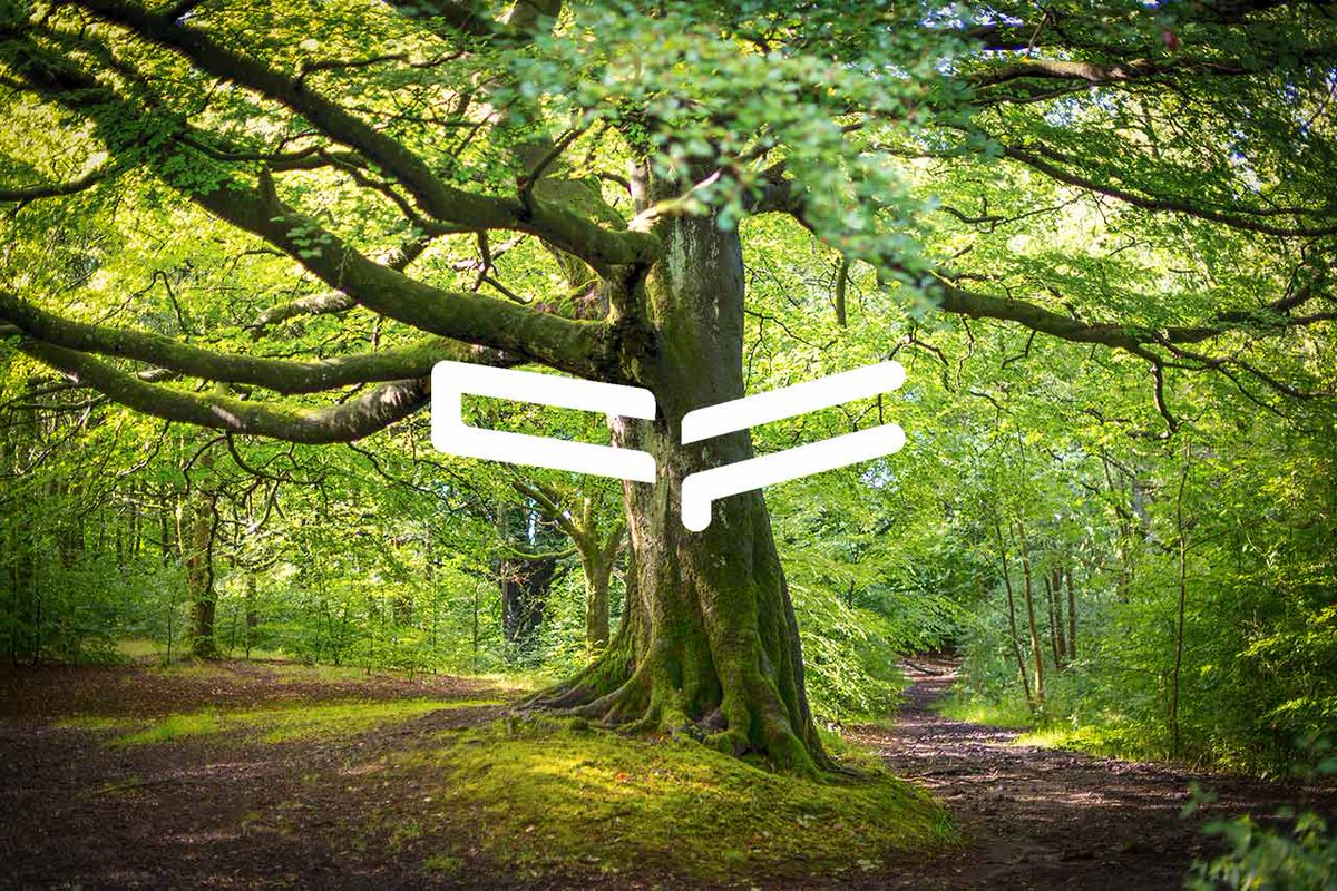 TheICF's tweet image. We recently awarded eight new Fellowships, recognising outstanding contributions to forestry and arboriculture, and a continued commitment to professional standards.
Congratulations to our new Fellows!
Read more: charteredforesters.org/institute-welc…