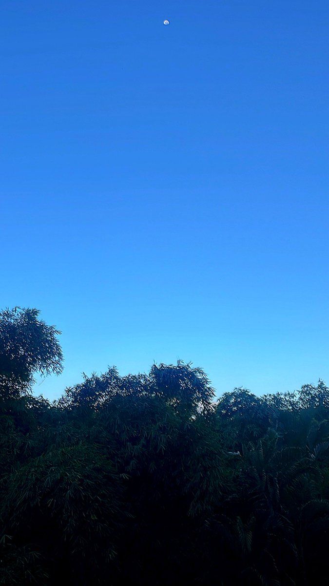 La claridad del martes. Buen día. #DesdeElOasis