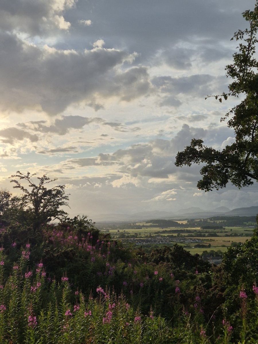 brigidrussell51's tweet image. Ah, lovely as ever to sit peacefully alongside you in #SpacesForListening, Sara. That&apos;s the rain on here, too. I&apos;ve got this picture in mind from yesterday&apos;s peaceful walk, though... And we need the rain, after all 🌦 🩵