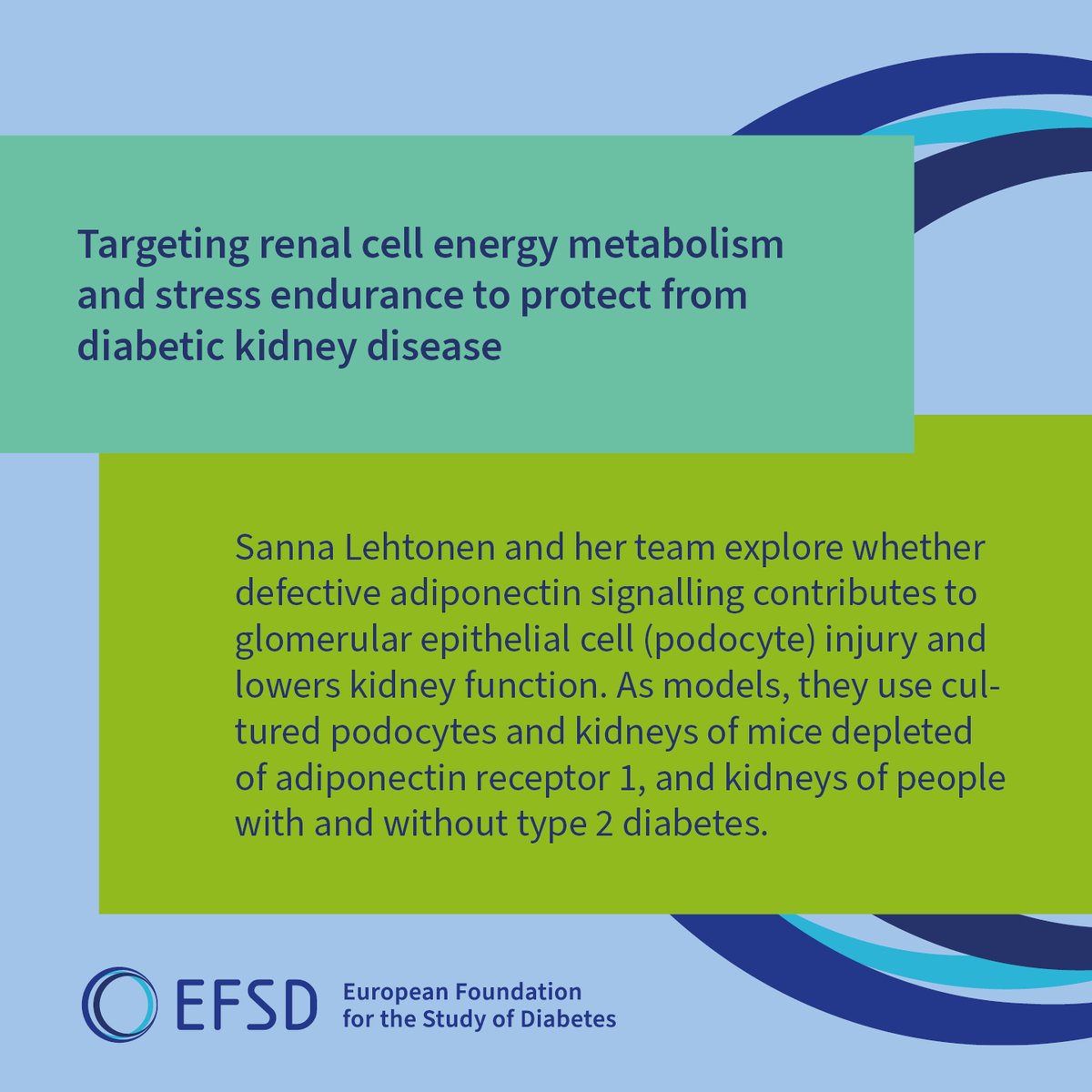 EASDnews's tweet image. 🤝Meet Prof. Sanna Lehtonen, 2021 #EFSD/ #Lilly awardee from the @helsinkiuni . Her #DKD research shows that AdipoR1 deficiency leads to podocyte injury & loss, linking it to reduced #kidney function in #T2D.
📖: journals.lww.com/jasn/fulltext/…
EFSD programmes: europeandiabetesfoundation.org/programmes.html
