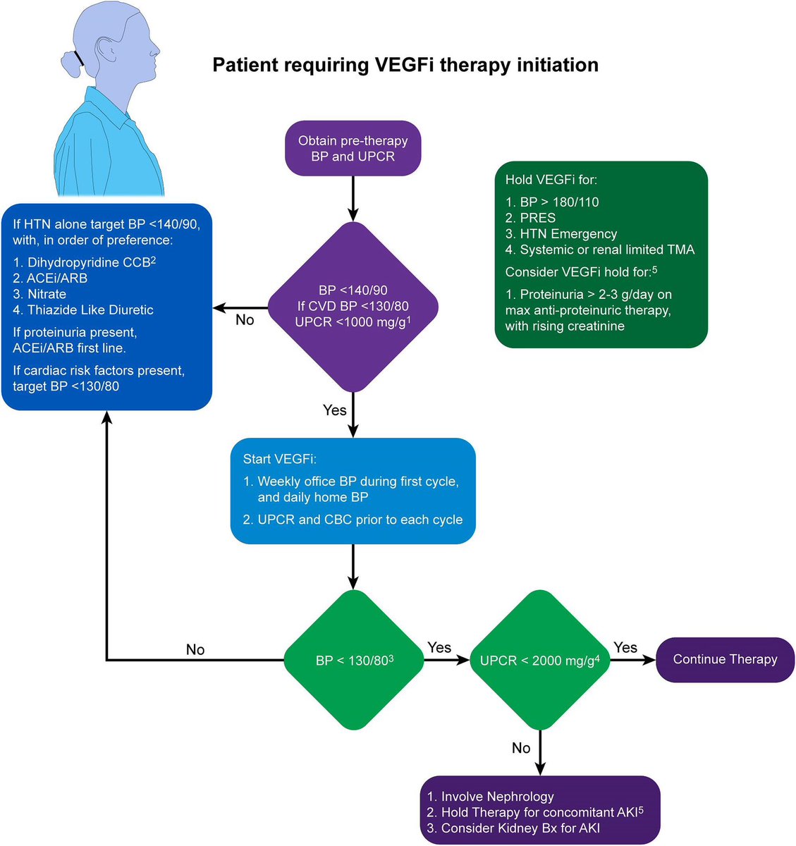 hardik4u24's tweet image. 🦀 Ever wondered how to navigate VEGFi-induced proteinuria or TMA in cancer patients? 🧬
#OncoNephrology CKJ review breaks it down!
🩺 Involve #Nephrology early, avoid non-DHP CCBs & track BP/UPCR closely!
📖 doi.org/10.1093/ckj/sf… 🆕
#MedX #NephTwitter #HTN #VEGFi #Oncology