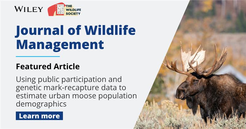 WileyEcolEvol's tweet image. Effective #wildlifemanagement often requires data on population size, survival, and site fidelity. This study uses public reports and genetic mark-recapture to estimate moose demographics.
Read this featured #FreeAccess article: ow.ly/OhoW50Wpme9
@wildlifesociety