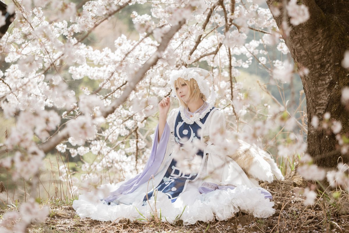 虎山で桜撮影の～東方の八雲藍 
どれも綺麗に撮っていただけたやつ！
撮影つとむ2ndさん（ <a href="/nex6_2nd/">つとむ2nd</a> )