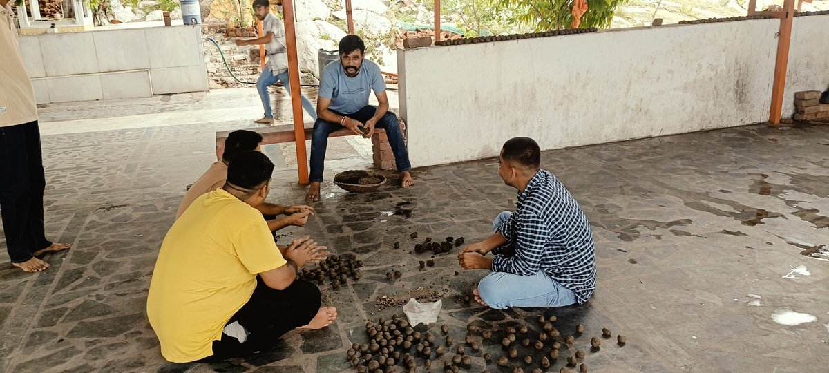#बीजोत्सव 
प्रेम पर्यावरण से....
<a href="/1stIndiaNews/">First India News</a>
<a href="/gssjodhpur/">Gajendra Singh Shekhawat</a> 
<a href="/HaveliPariwar/">Haveli Pariwar</a> 
<a href="/narendramodi/">Narendra Modi</a>