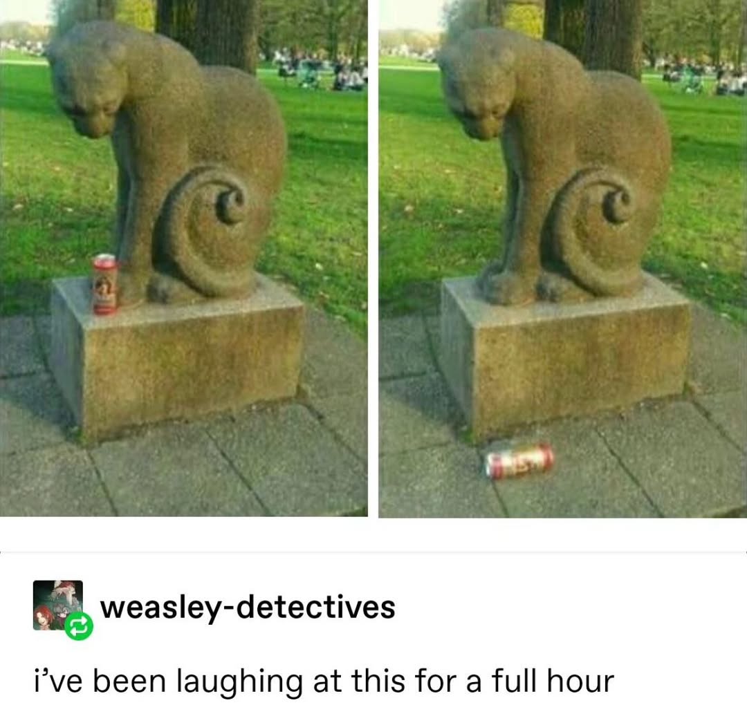 🤣🤣🤣🤣🤣🤣🤣🤣