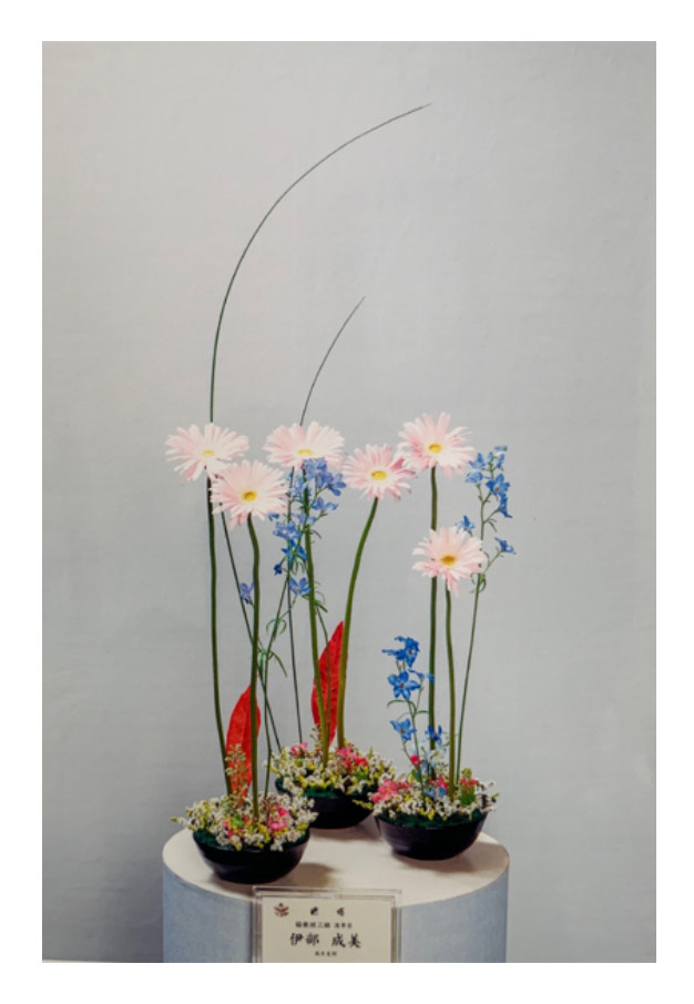 #生物資源学科 2年の伊部成美さんがつぐみ賞を受賞しました。伊部さんは、第27回学校華道インターネット花展に出品し、京都府知事賞を受賞しました。#福井県立大学