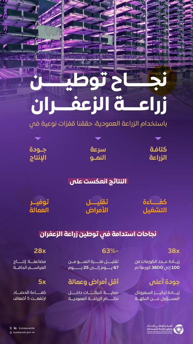 EstidamahSA's tweet photo. #نموذج_سعودي مبتكر في الزراعة العمودية، نجح #مركز_استدامة في توطين زراعة الزعفران بأساليب ذكية، رفعت الإنتاج 28 ضعفًا، وسرّعت النمو 38 مرة، وقلّصت المساحة بـ 63٪. 

تحول نوعي نحو زراعة أكثر كفاءة واستدامة. https://t.co/a4JCTYWdez