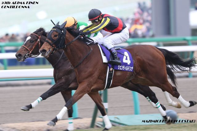 daiwa_major_14's tweet image. ジェンティルドンナ、繁殖引退！お疲れ様でした。
子どももGⅠ馬ジェラルディーナを出してホント頑張りましたね。
ゆっくり余生を過ごしてね。
写真は
2012年　＃オークス　＃ジャパンカップ
2013年　ジャパンカップ
2014年　＃有馬記念
#ジェンティルドンナ
#川田将雅
#岩田康誠
#戸崎圭太