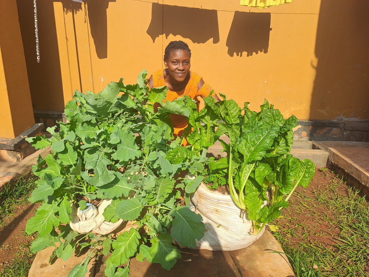 FmfProgramme's tweet image. FMF trained 20 youth in Wakiso in vertical gardening, boosting household nutrition, food security &amp;amp; incomes. These space-saving gardens help women save time &amp;amp; grow healthy food at home. 🌱@ClimateSmartAg @AUYouthProgram @urbanfarming_il @anonymoushopefo @GlobalGiving @LdnCommFdn