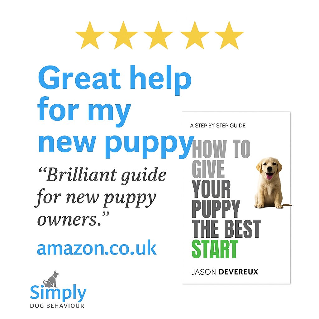 jason_devereux's tweet image. 🐾 Great help for my new puppy! 🐶 5⭐️ Amazon review for How to Give Your Puppy the Best Start!
Simple, practical, step-by-step advice to guide you from day one.
📚 Start your puppy off right 👇
🔗 amzn.to/4eyBYY0

#puppytraining #dogbook #newpuppy #puppy #dogtraining