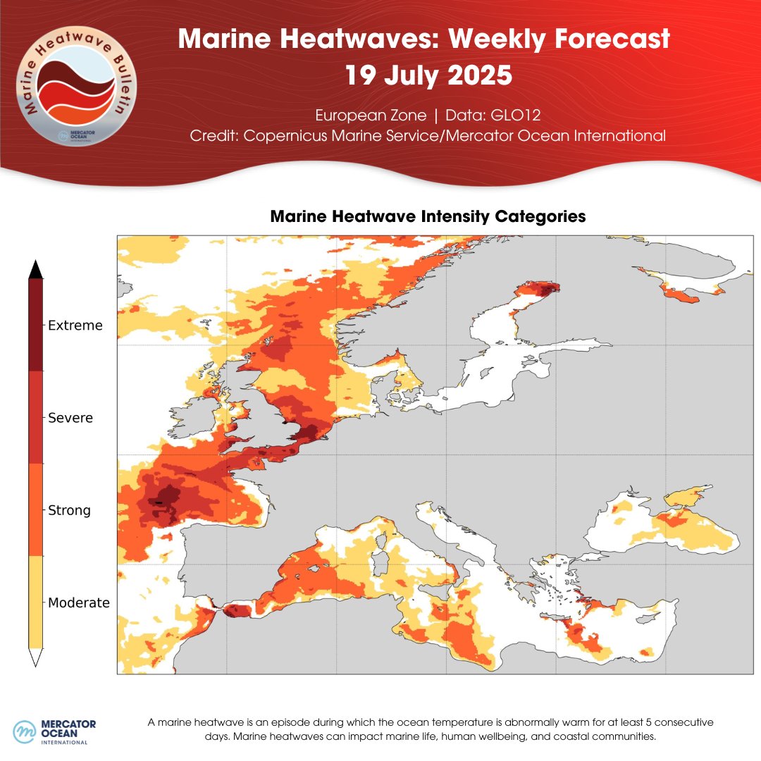 MercatorOcean's tweet image. 📢#MercatorOcean Marine Heatwave (#MHW) Bulletin - 19 July
The MHW in the #Mediterranean Sea is decreasing in extent and intensity, while the MHW in the #NorthAtlantic is increasing in extent and intensity 🌊
🔗 mercator-ocean.eu/bulletin/marin…
