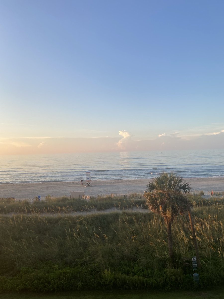 CT Capitals Baseball Academy tweet media