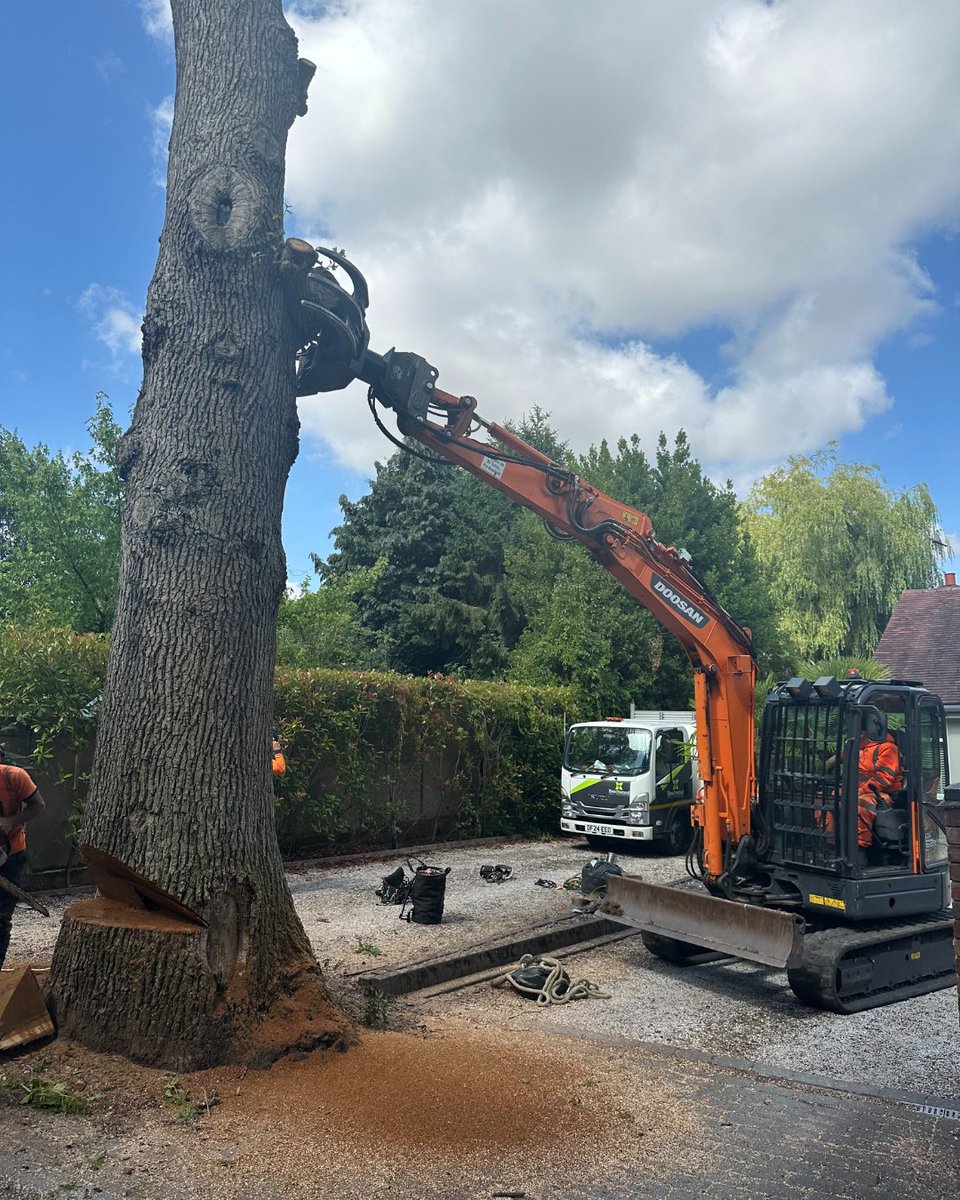 BossBeechwood's tweet image. The Doosan doing what it does best.
Helping out on a fell this week, making heavy work look easy. With machinery like this, we’re always ready to take on the tough stuff.
🌳 Big trees? Awkward access? No problem.
 #Doosan #TreeFelling #HeavyLifting #ArboristLife #BeechwoodTrees