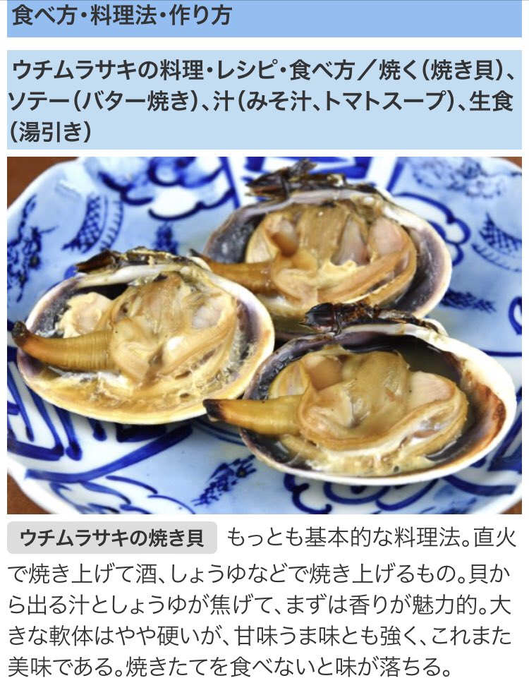 1831874tfh's tweet image. メイとキラが毎日美味しそうに
食べているので
私も食べてみたくなってきた

＃鳥羽水族館　＃メイ　＃キラ