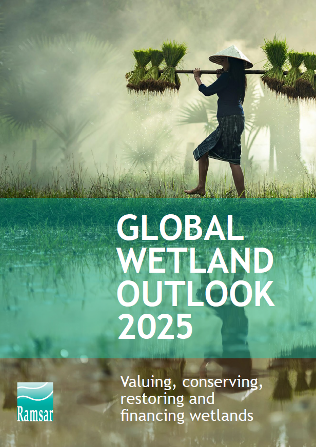 #NewReport: The Global Wetland Outlook 2025 is now live!

Dive into the latest global data on wetland extent, loss and restoration and discover the solutions we need to secure the future of these vital ecosystems.

global-wetland-outlook.ramsar.org