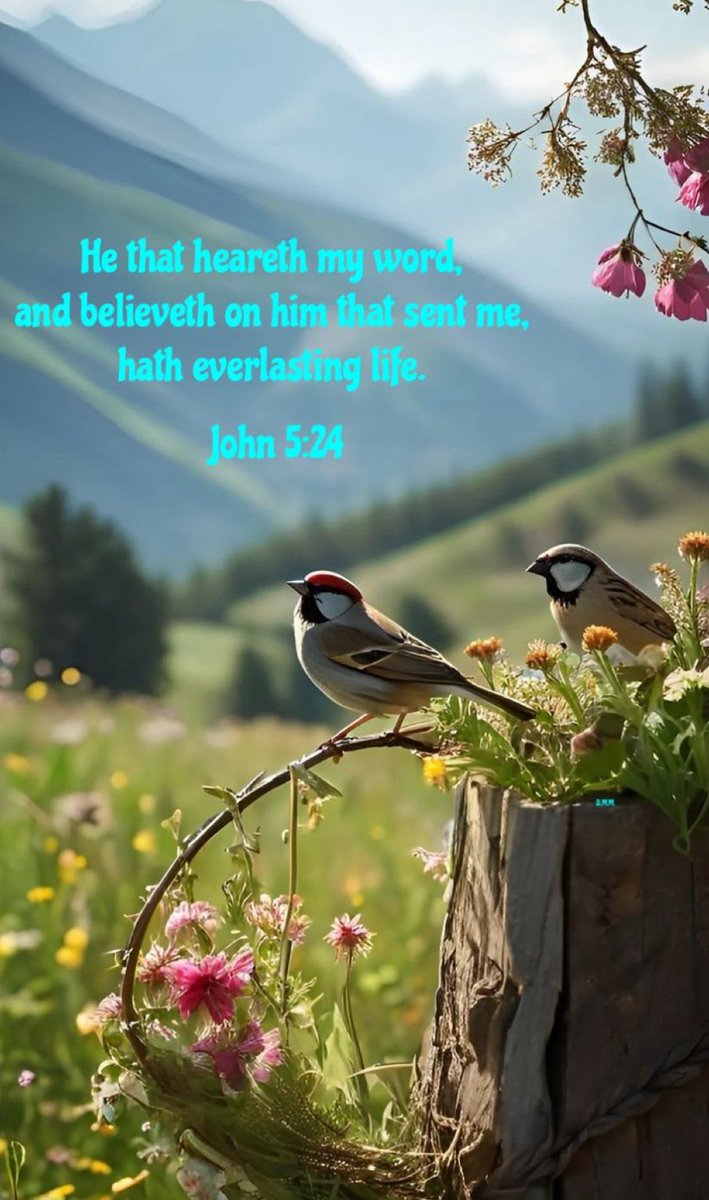 ohnochip's tweet image. Good Morning Family,
Y鈥檃ll have a productive and blessed day in the Lord 馃檹馃徎馃檶馃徎鈽曪笍鉁濓笍
#PrayHard