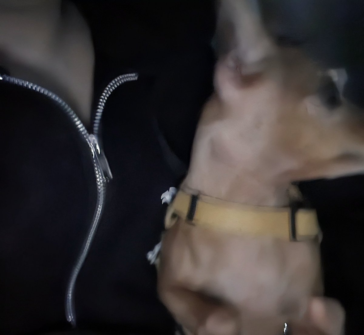 승진하고 너무 바쁜 2개월을 보냈네요, 다들 잘 지내시나 🫡

#섹트 #비떱 #bbw