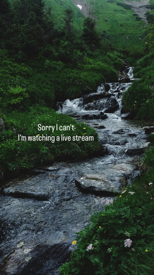 Words by @earthcurated picture by Oleksandra Bardash