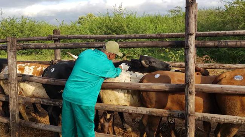 State Veterinarians Under Pressure: The Other Side of the Story

👉africanfarming.com/tiny/g96m
<a href="/RuVASA1/">RuVASA</a>