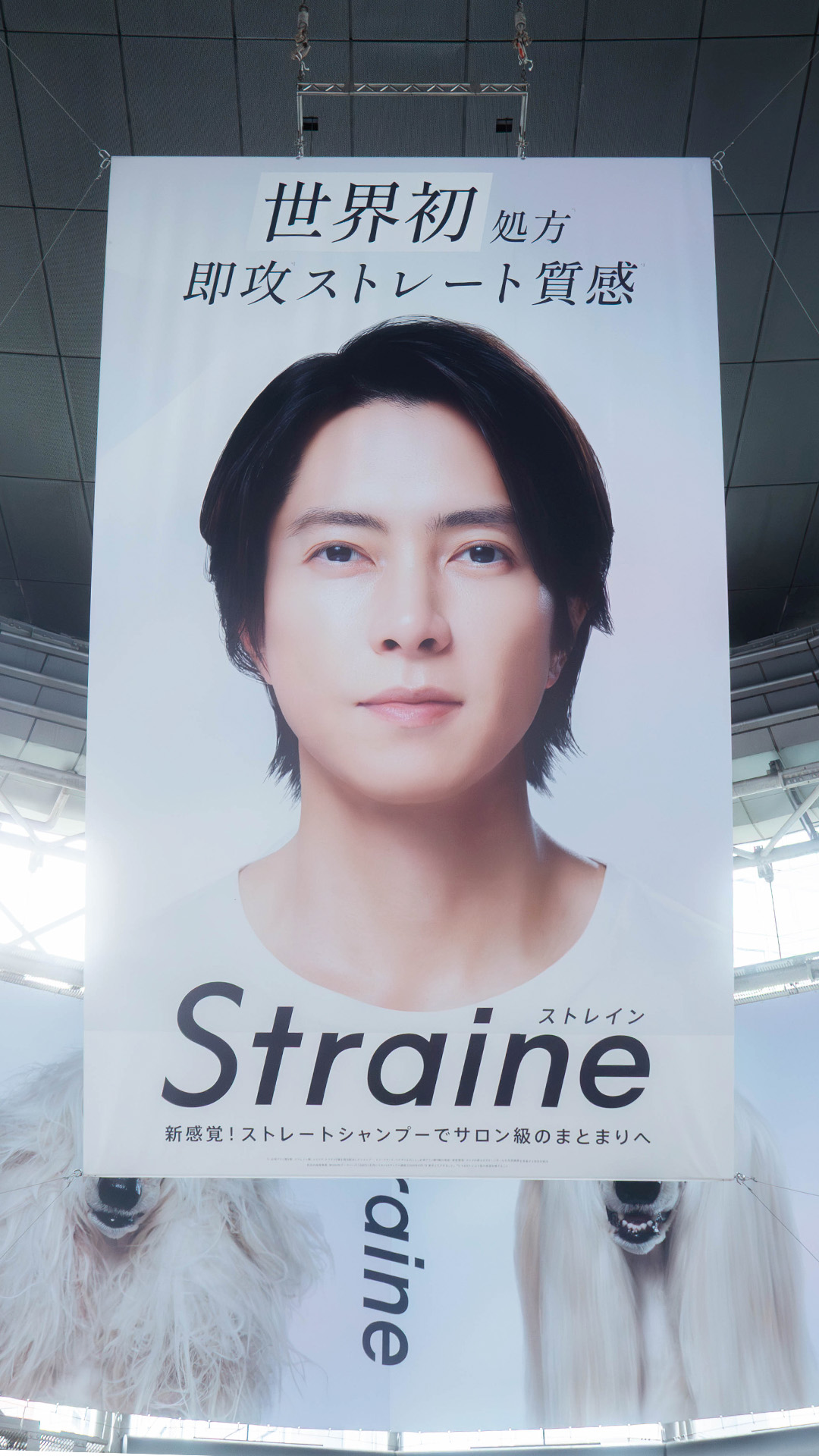 山下智久 - みるきー 山下智久＆新木優子、5年ぶり共演で感じた変化と成長 恋人役は