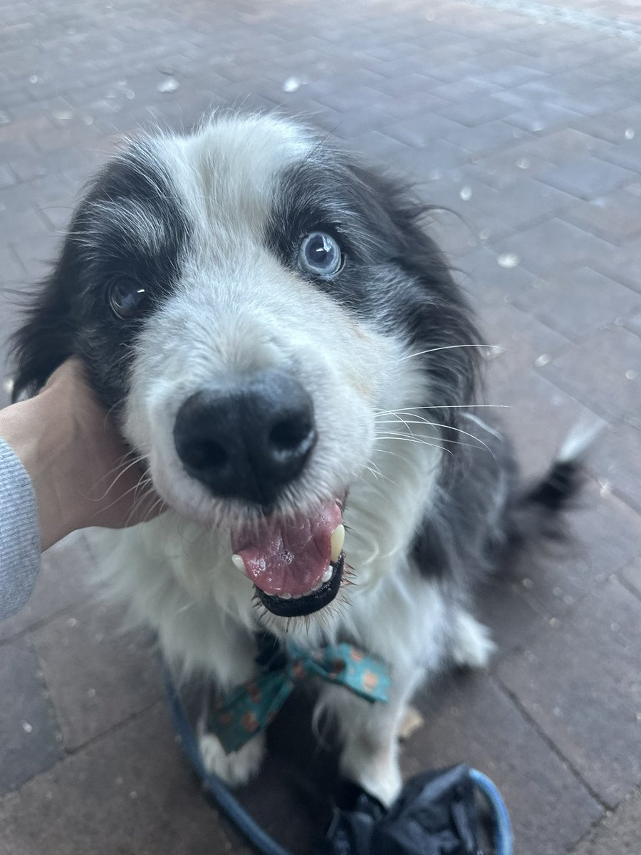 GemmaTognini tweet media