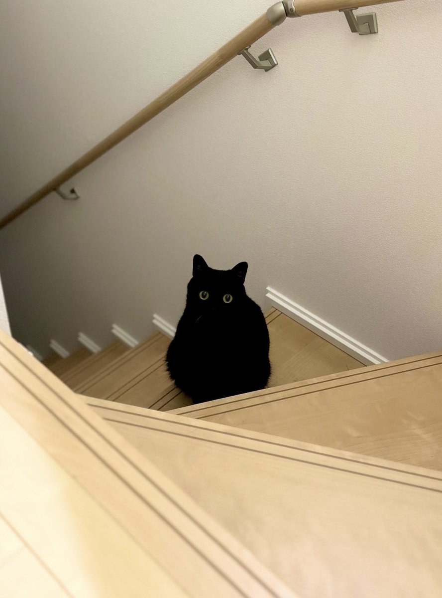 nkknrk's tweet image. ｲﾙﾖ!