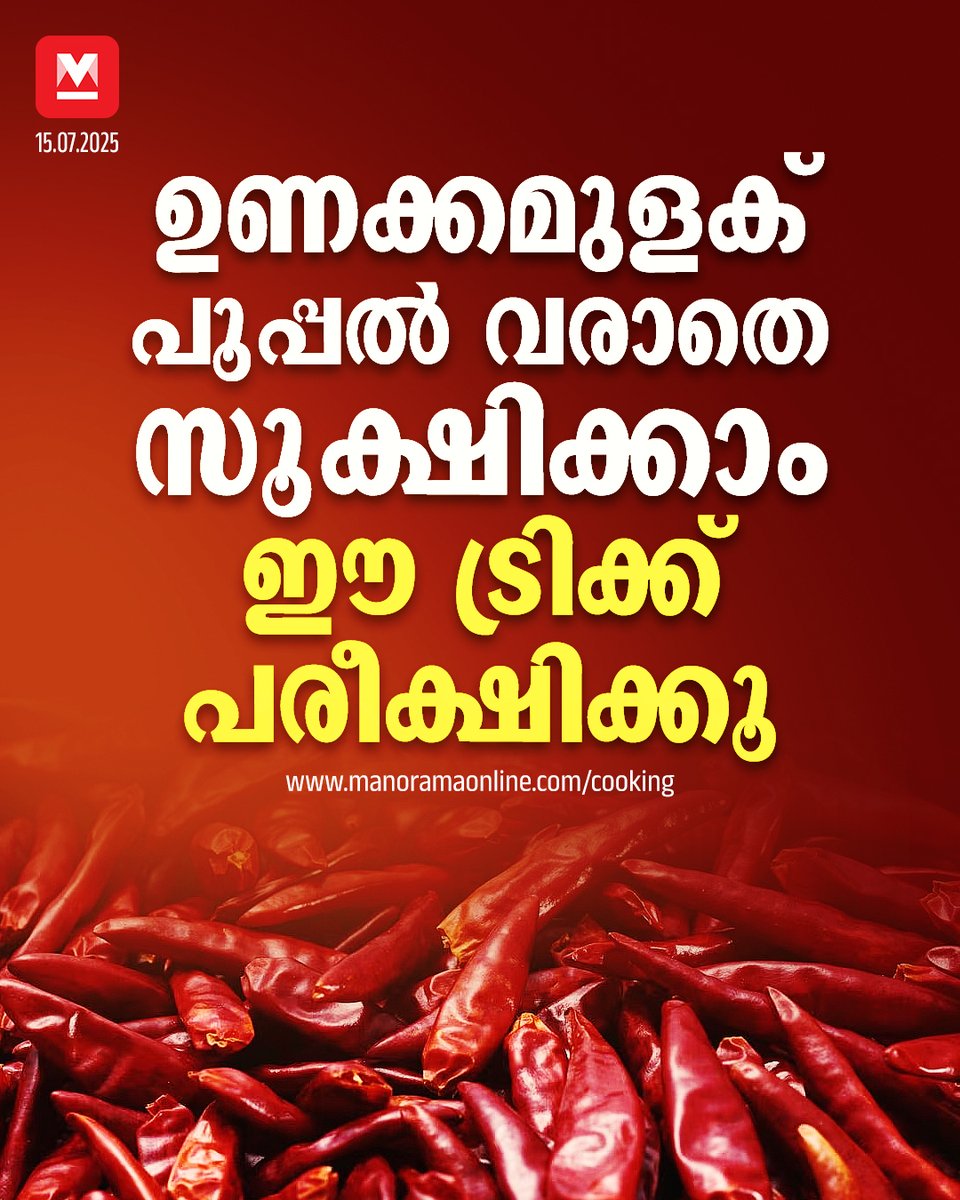 manoramaonline's tweet photo. ചിലതിന് എരിവ് അൽപം കൂടുതലാണെങ്കിലും കറികളിൽ ചേർക്കുമ്പോൾ ശ്രദ്ധിക്കണം
#driedchilli #redchilli #foodnews
Read more at: https://t.co/52RvKFHTTb https://t.co/NOug26ubol