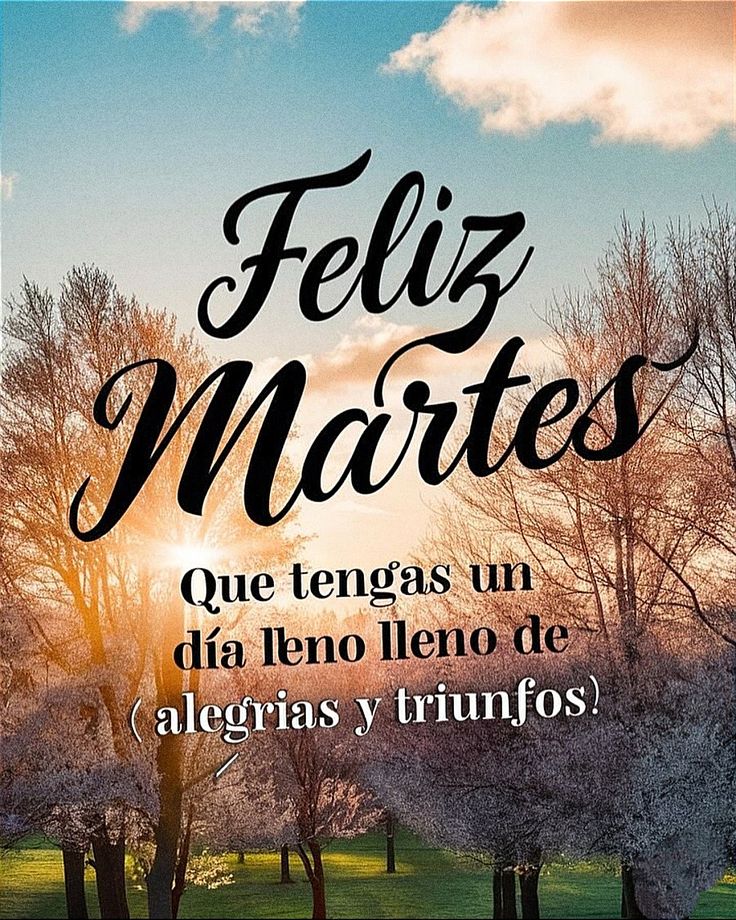 BUENOS DIAS!!
UN EXCELENTE MARTES LES DESEO A TODOS MIS QUERIDOS AMIG@S DE X. QUE EL SEÑOR LOS BENDIGA Y PROTEJA SIEMPRE.🙏☕🍀