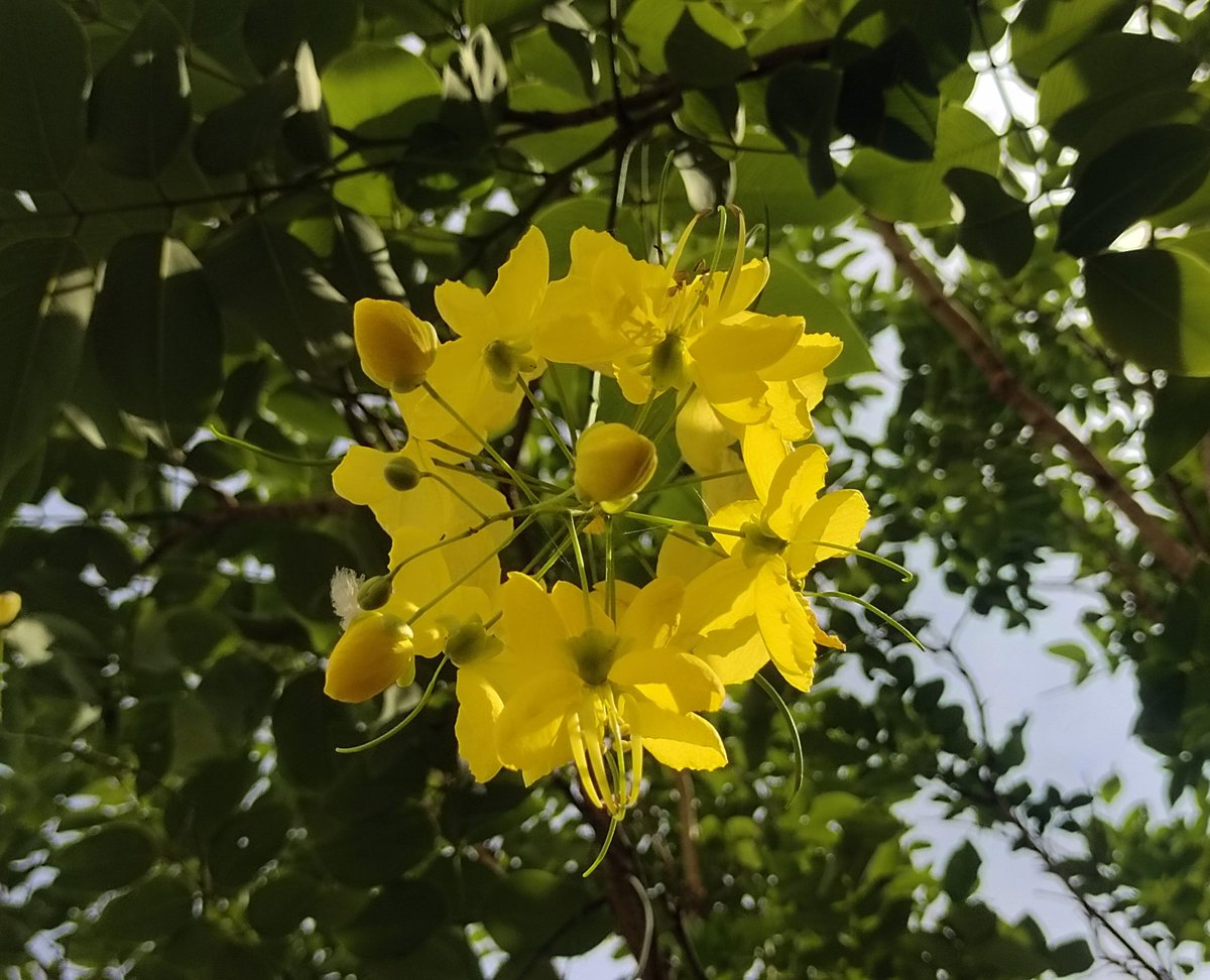 OutOFreacH_i's tweet image. 🦋🦋...
हर रोज़ कुछ नई सी...
कुछ बदली बदली सी नज़र आती हैं....
ये तस्वीरें भी रंग बदलती हैं... 🖊️🩶
