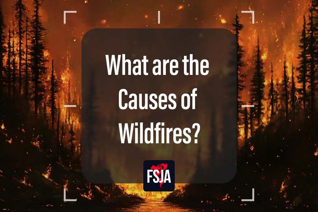 Fire & Safety Journal Americas tweet media