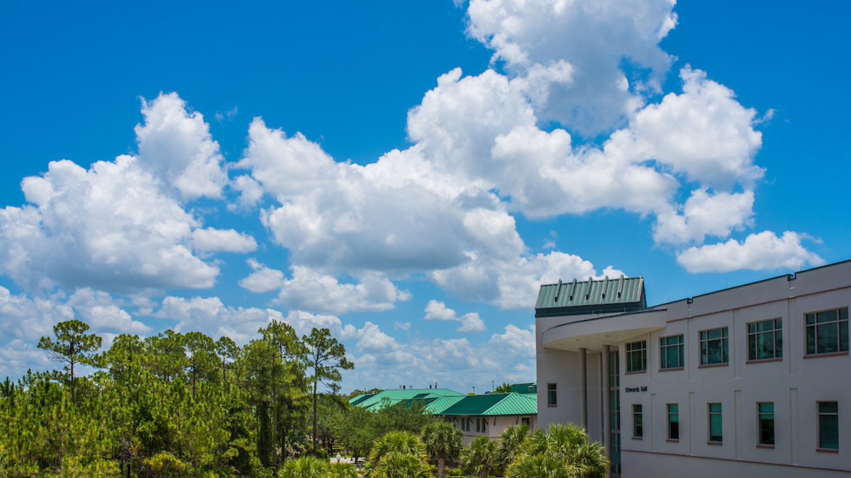 Today’s forecast: a reminder that every day is a fresh start. 🌴☀️ #fgcu