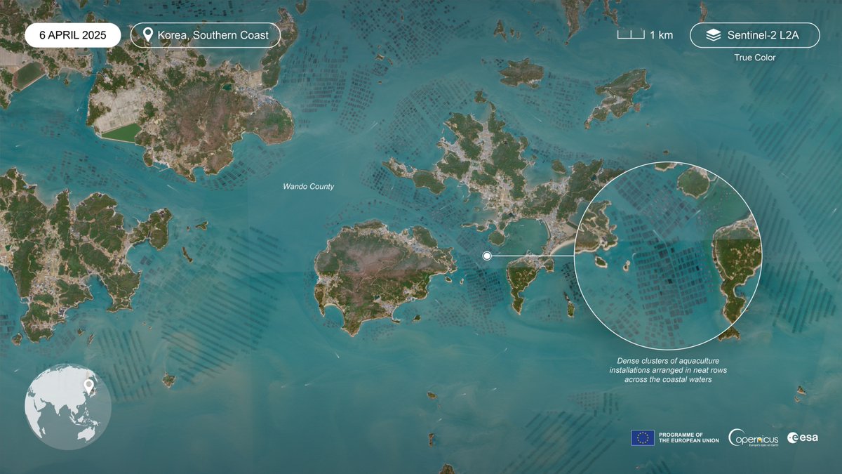 sentinelonline_'s tweet image. #Sentinel2 captures South Korea's vibrant #aquaculture zones — from seaweed farms to fish pens. A powerful reminder of how #EarthObservation supports sustainable food production.
🔗Explore the view: dataspace.copernicus.eu/gallery/2025-6…
#Copernicus #sentinelonline #space