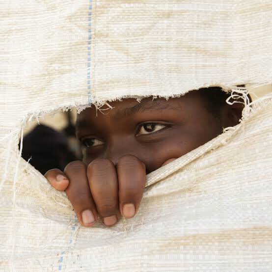 Advocate_Jebra's tweet image. Unafurahi mahakama isivyokuwa huru au namna unashughulika na kesi ya Lissu na kesi za CDM? , unaona mfumo wa haki unachezewa unaona sawa. Unasahau kuwa mfumo huu ndo utaendesha kesi yako ya talaka, ya ajira, kesi yenu ya mirathi, na kesi ya kiwanja chenu!
Hali hii utaipitia tu!