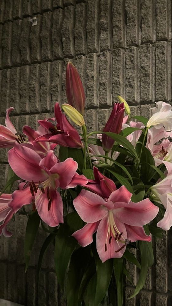 Nooni (@chaarpaai) on Twitter photo 