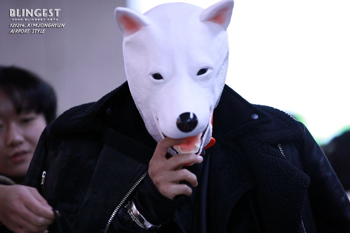 948archive's tweet photo. 🐶

121214
gimpo airport

jjong.......? https://t.co/URrnt9L4AK