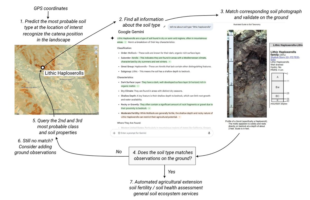 opengeohub's tweet image. We are looking for a Research assistant: #Pedometric methods for dynamic soil data modeling. Do you genuinely believe that soil data and soil science should be open, accessible and shared without restrictions to enable soil health improvements and soil conservation across…