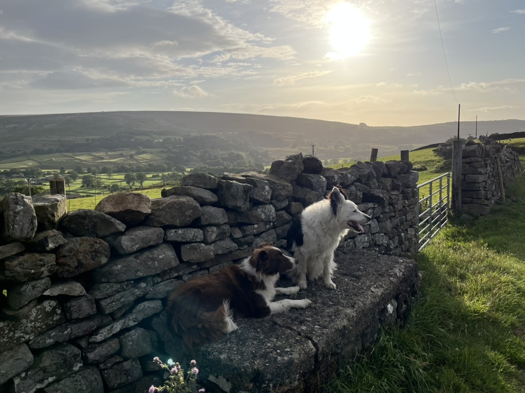 Mark Forrest (@forrestmark) on Twitter photo A pause on this morning's walk to construct today's Classical Live playlist. We're partial to Beethoven so Isata Kanneh-Mason plays PC No.4 in Belfast. Plus Bruckner's First Symphony also from the Ulster Hall. And Dvorak's String Quartet No.14 from Rheingau <a href="/BBCRadio3/">BBC Radio 3</a> 1-4pm A pause on this morning's walk to construct today's Classical Live playlist. We're partial to Beethoven so Isata Kanneh-Mason plays PC No.4 in Belfast. Plus Bruckner's First Symphony also from the Ulster Hall. And Dvorak's String Quartet No.14 from Rheingau <a href="/BBCRadio3/">BBC Radio 3</a> 1-4pm