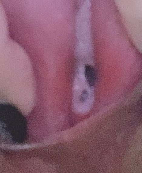 sakiki000's tweet photo. これなんだろーね？
 
#裏アカ女子
#裏アカ男子と繋がりたい https://t.co/Dedsl26VG0