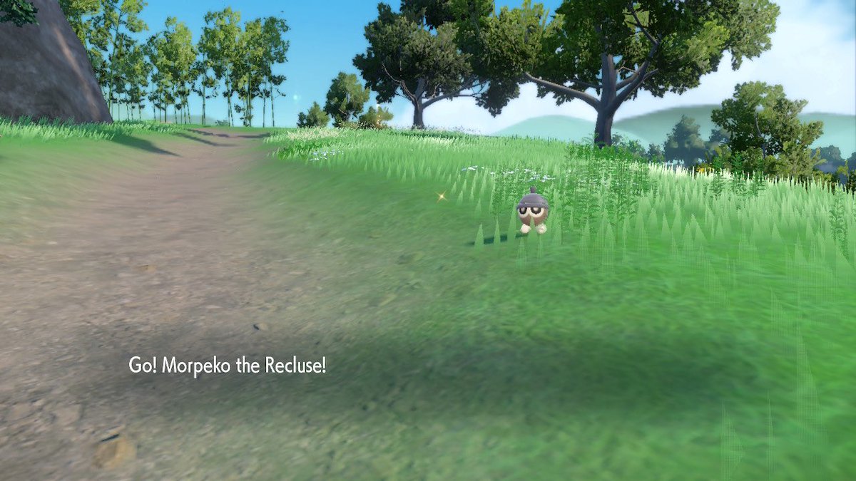 My first ever rare mark shiny 😭✨