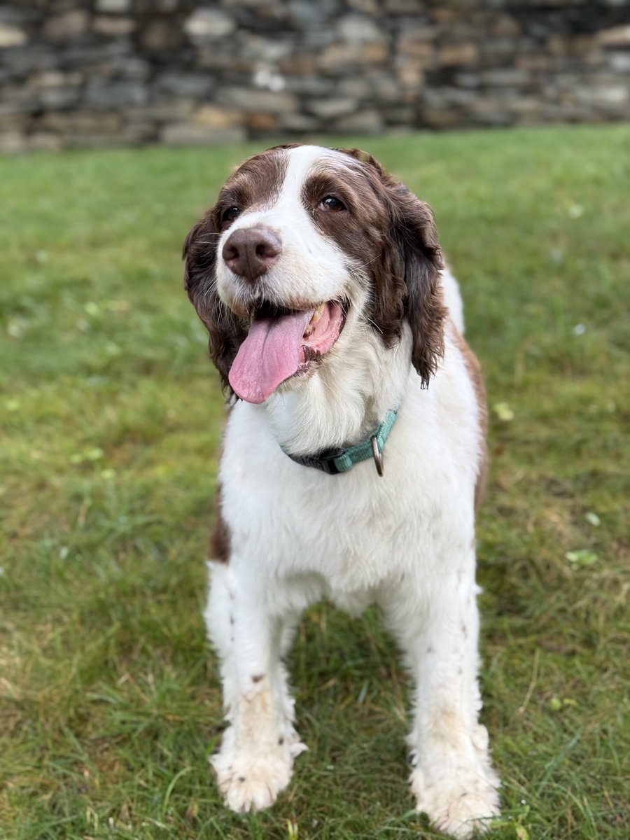 “Hi! It’s Tuesday! Our people came home! They’re hard to pin down on assurances they will never leave again. But we’ll take it one day at a time. Also, I love you.”