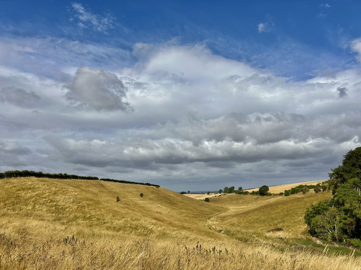 WeatherWolds's tweet image. A Bright Start with rain approaching. 19°C . Thistles.