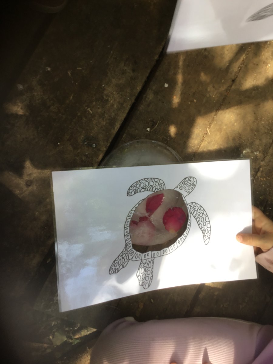 Freeman CP School tweet media